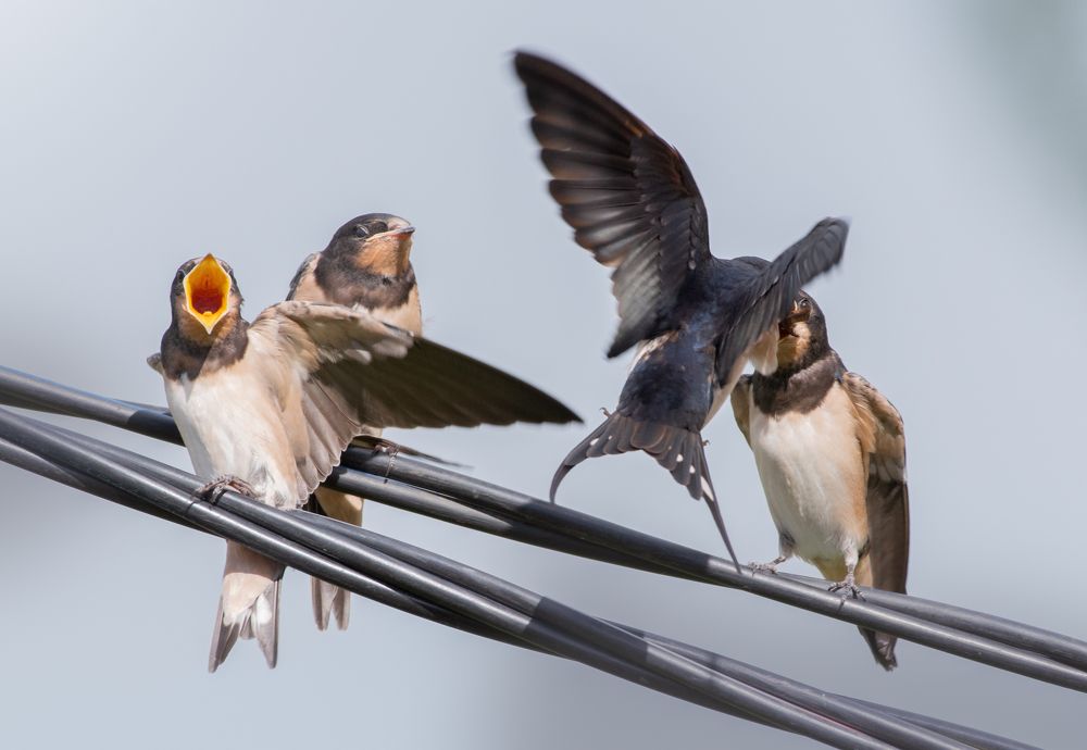 Photograph by Дарья