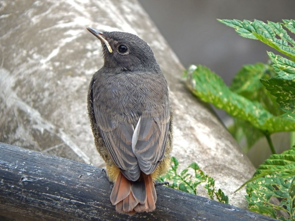 Photograph by Наталья Соколова