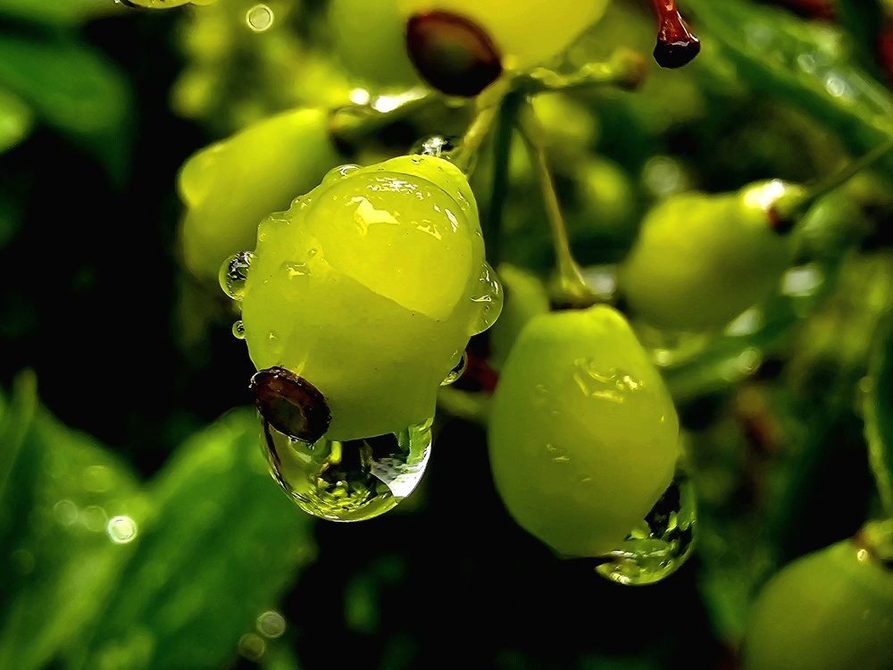 Photograph by Анна Семенова