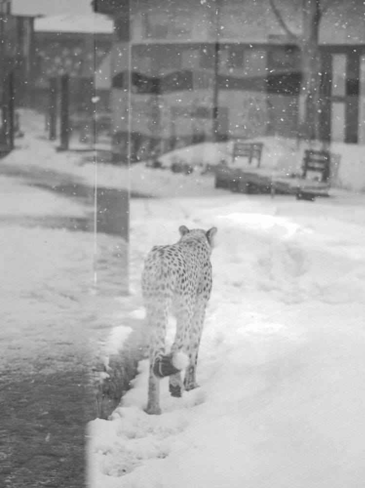 Photograph by Екатерина Ромадановская