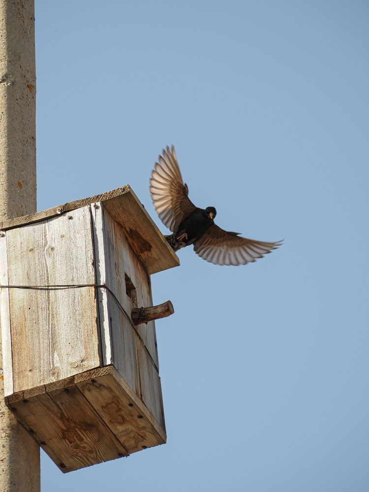 Photograph by Екатерина Ромадановская