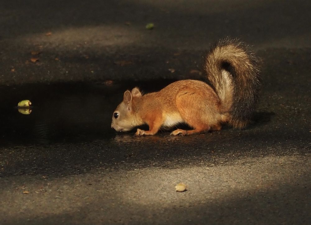 Photograph by Екатерина Ромадановская