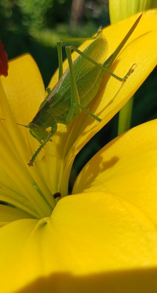 Photograph by Елена Каширина