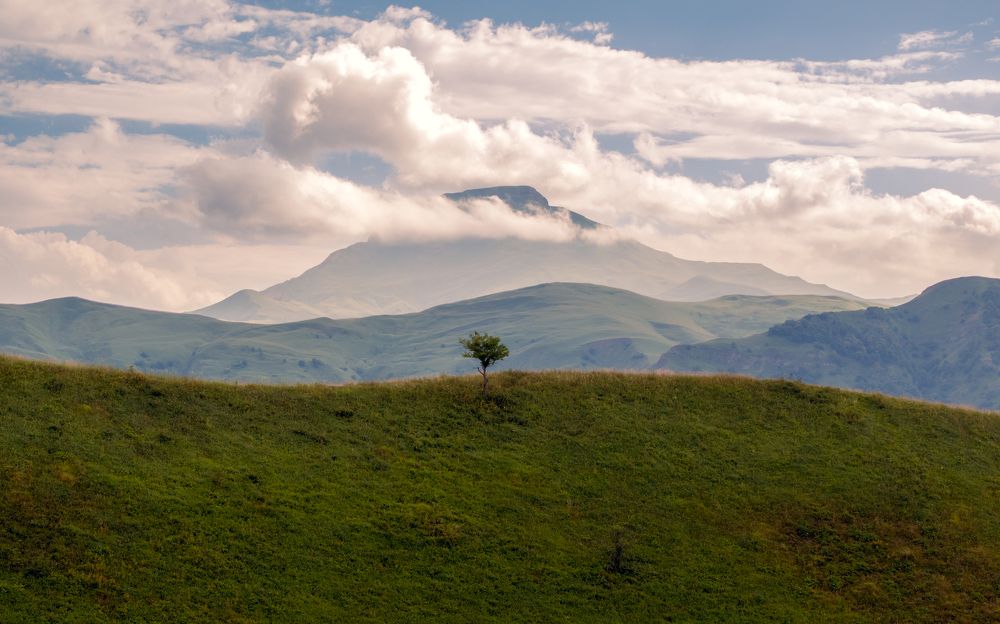 Photograph by Farid Isakov