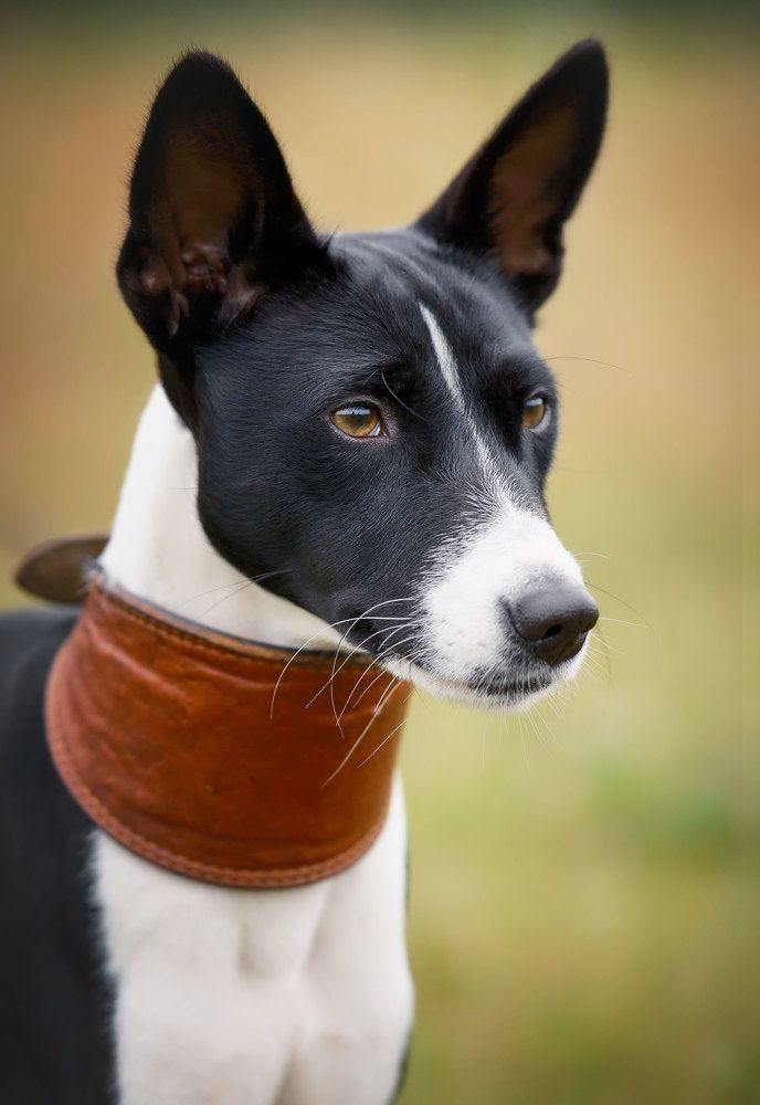 Photograph by Екатерина