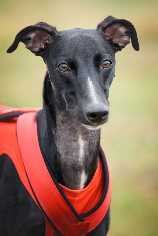 Photograph by Екатерина