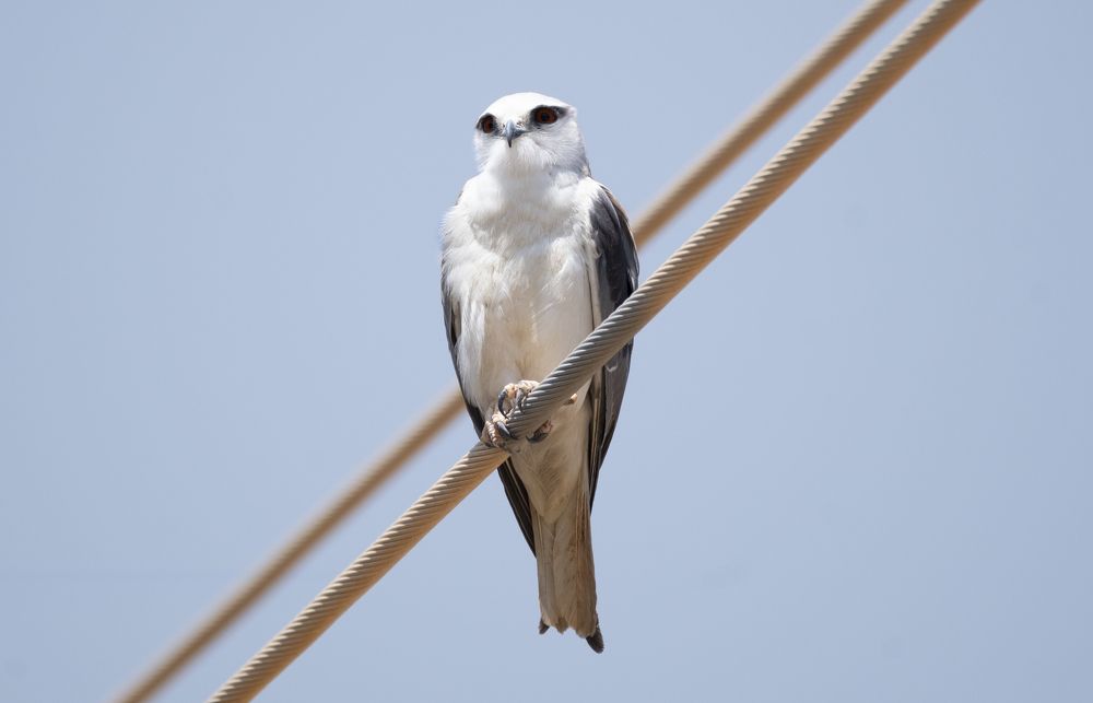 Photograph by Harsha Devalla