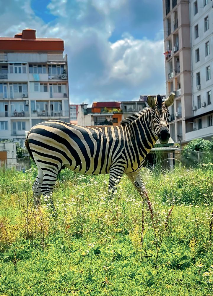 Photograph by Siarhei Saladukhin