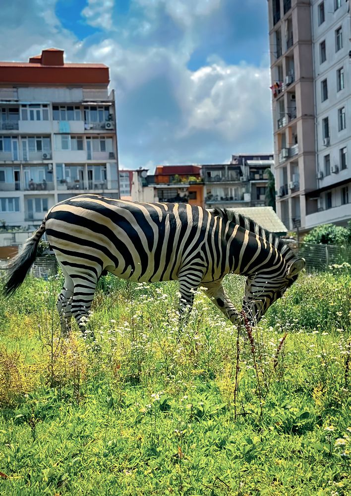 Photograph by Siarhei Saladukhin