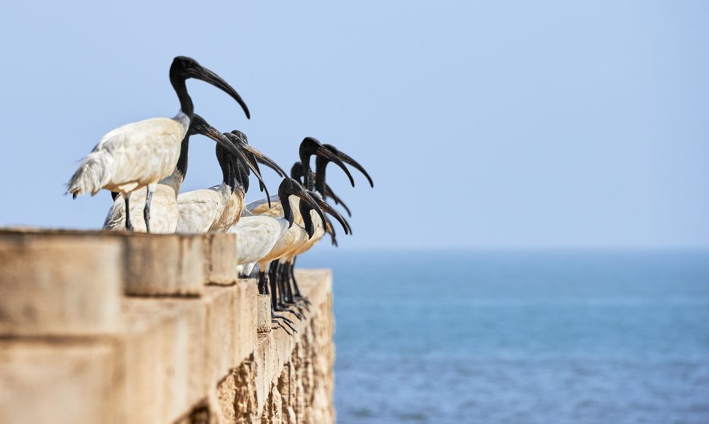 Гости нашего города