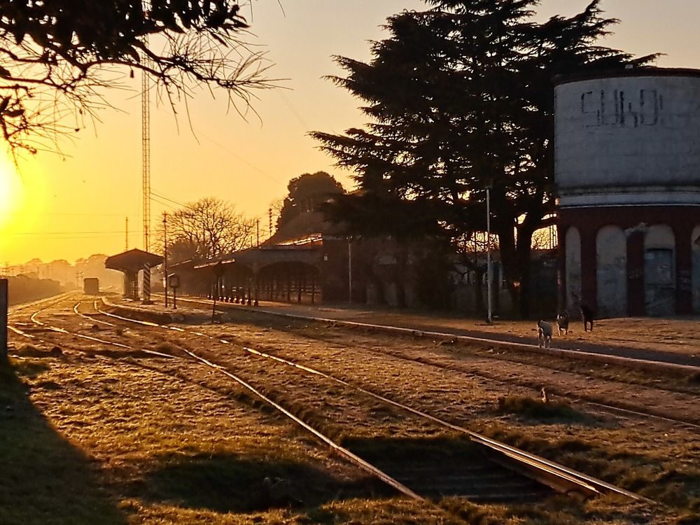 Фотография автора gustavo pecelis