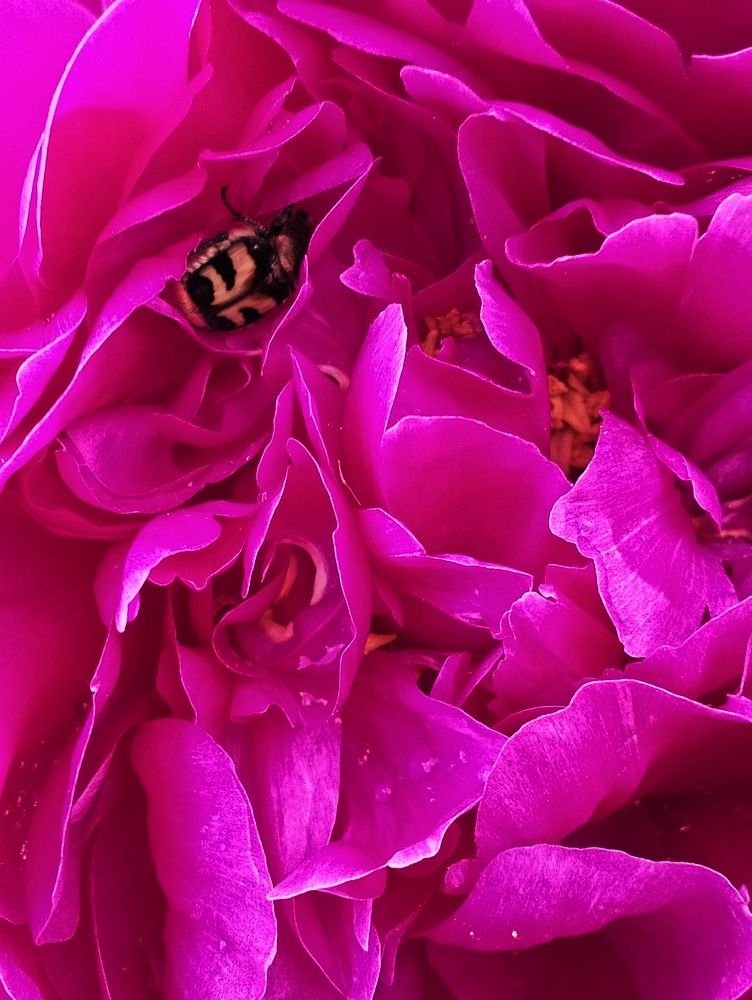 Photograph by Ирина Сергейчук