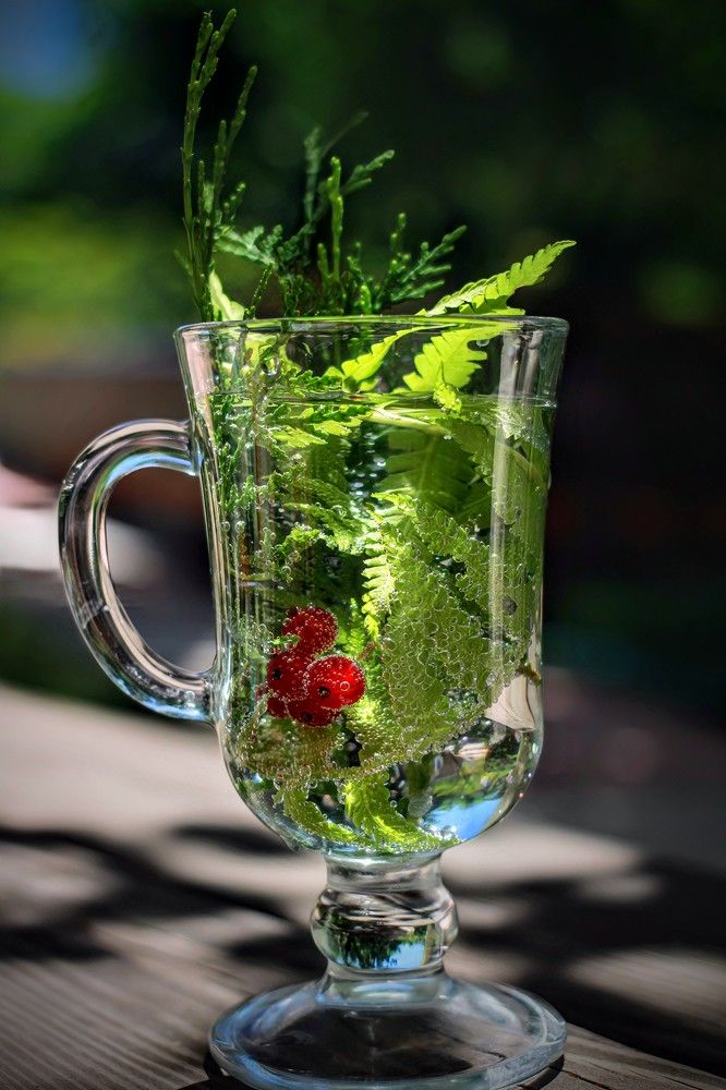 Photograph by AlexaL