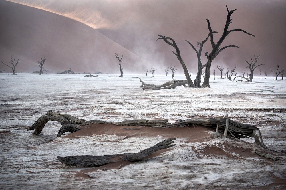 Photograph by MARIAN PLAINO