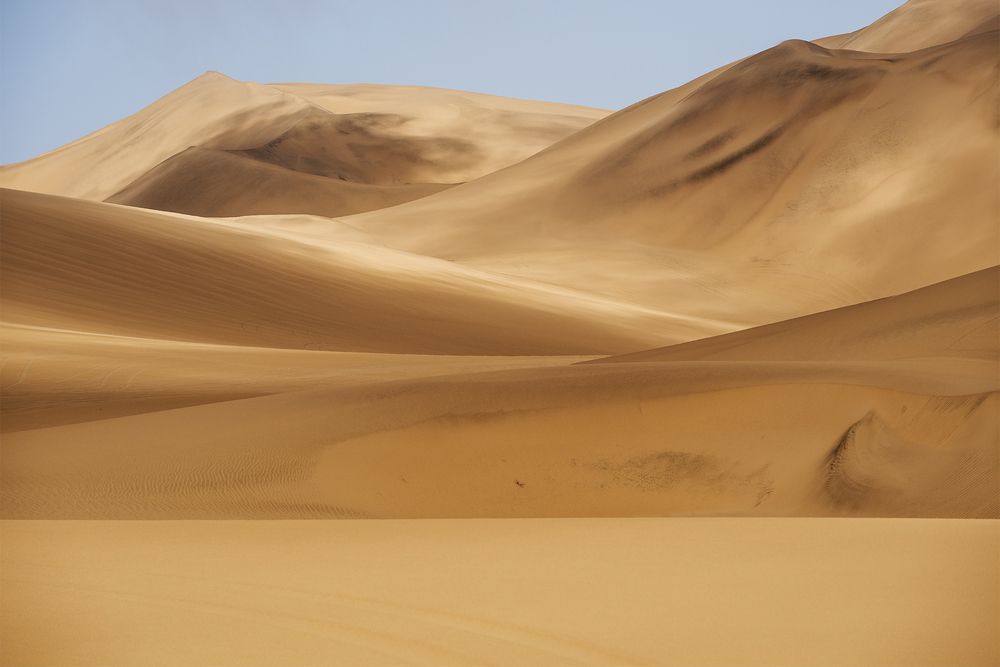 Photograph by MARIAN PLAINO