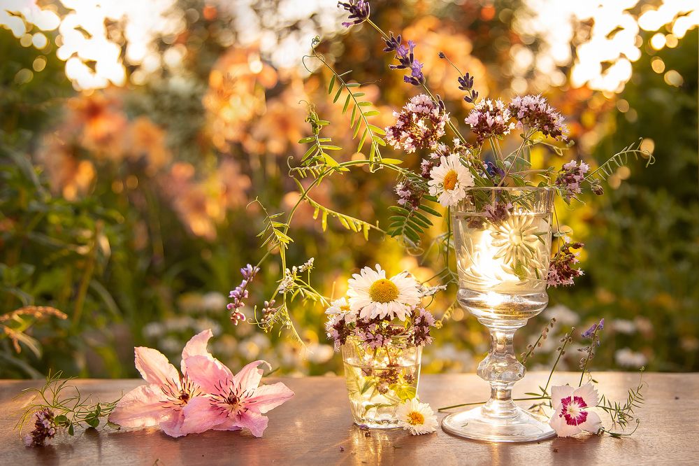 Photograph by Жулина Ирина