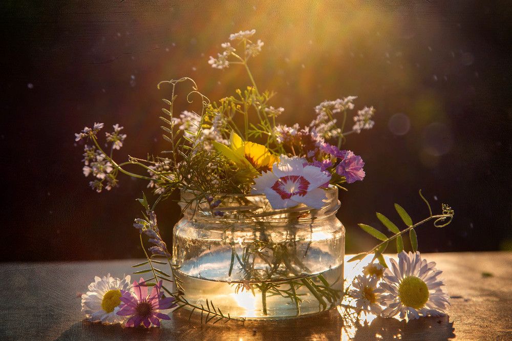 Photograph by Жулина Ирина