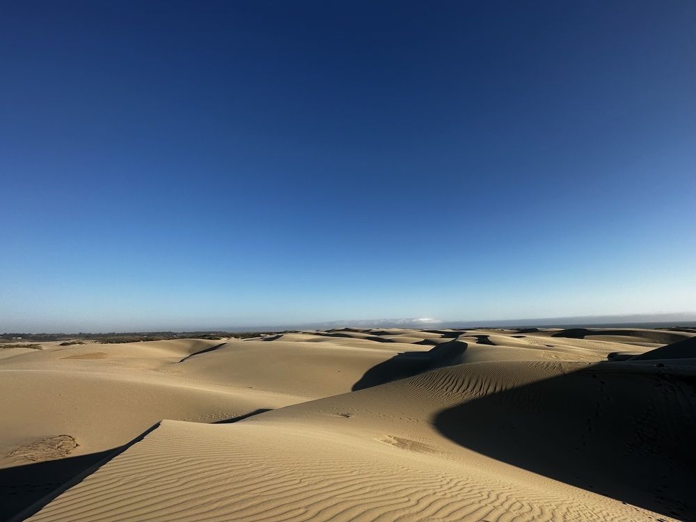 Photograph by Anna Vlasova