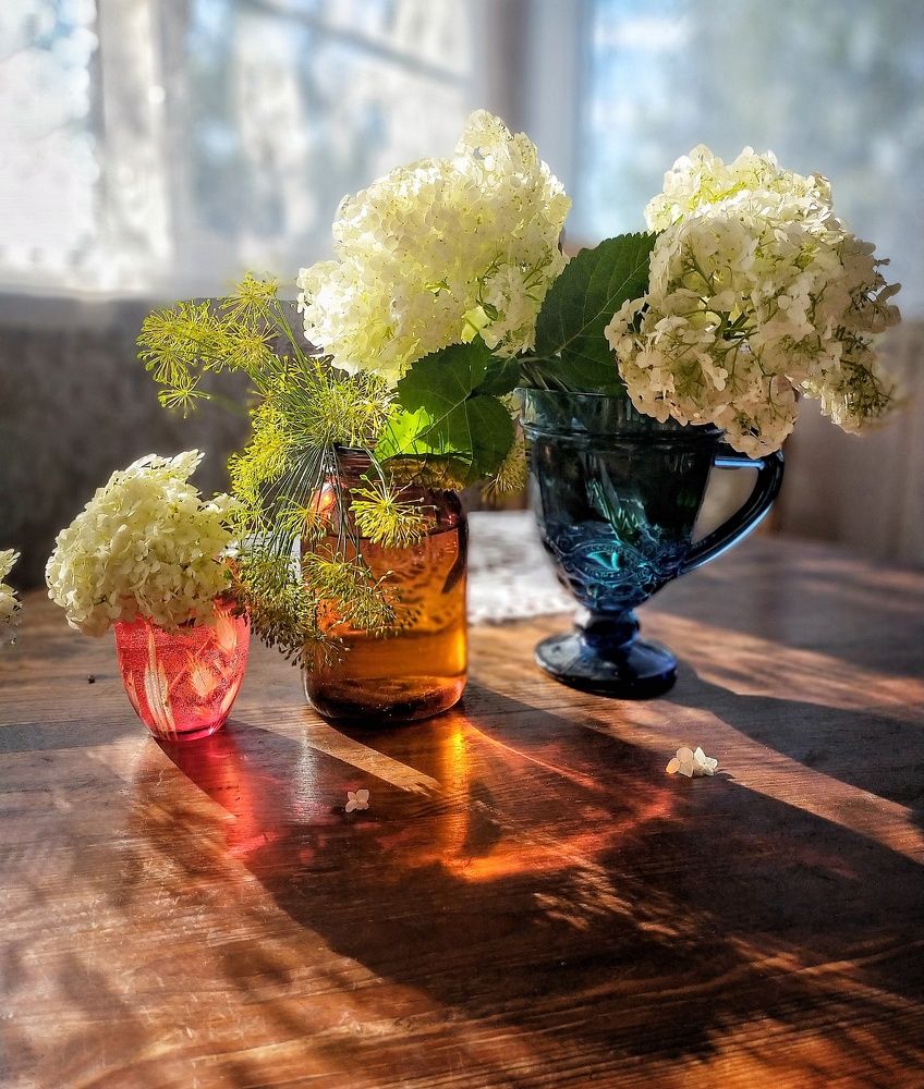 Photograph by Ольга Мартьянова