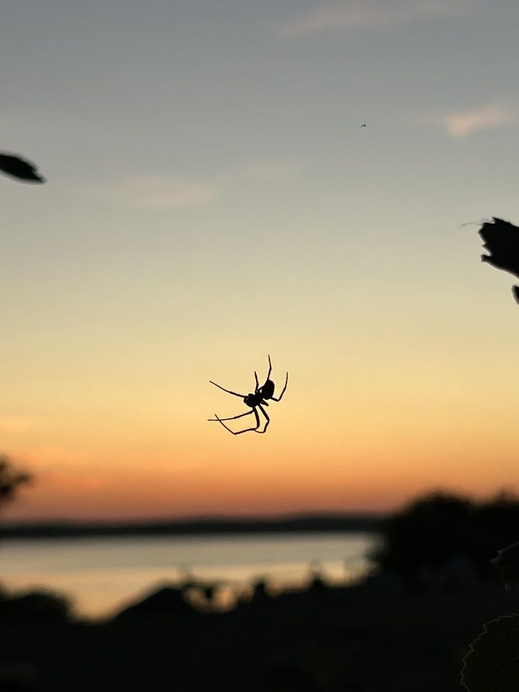 Photograph by Елена