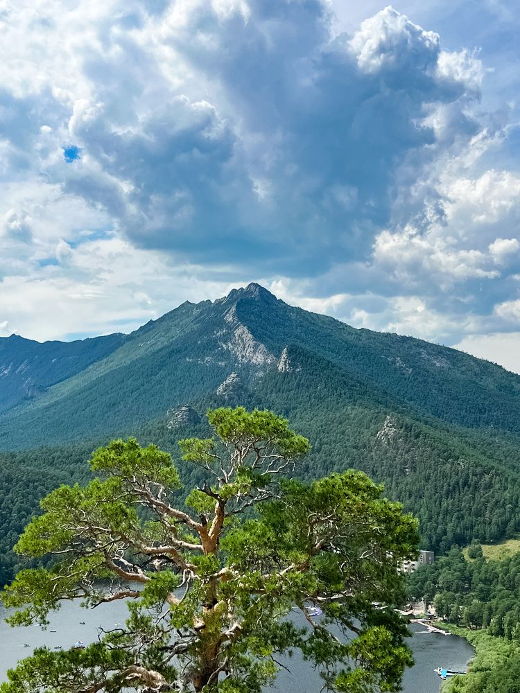 Photograph by Елена