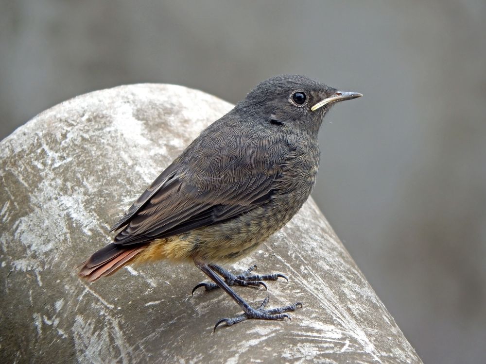 Photograph by Наталья Соколова