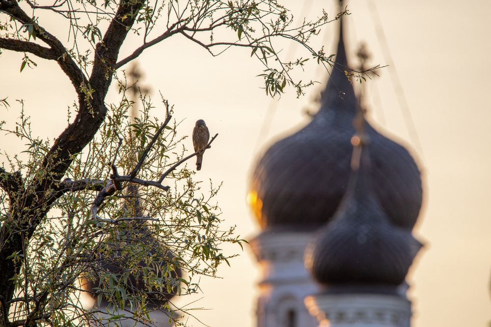 Photograph by Марина