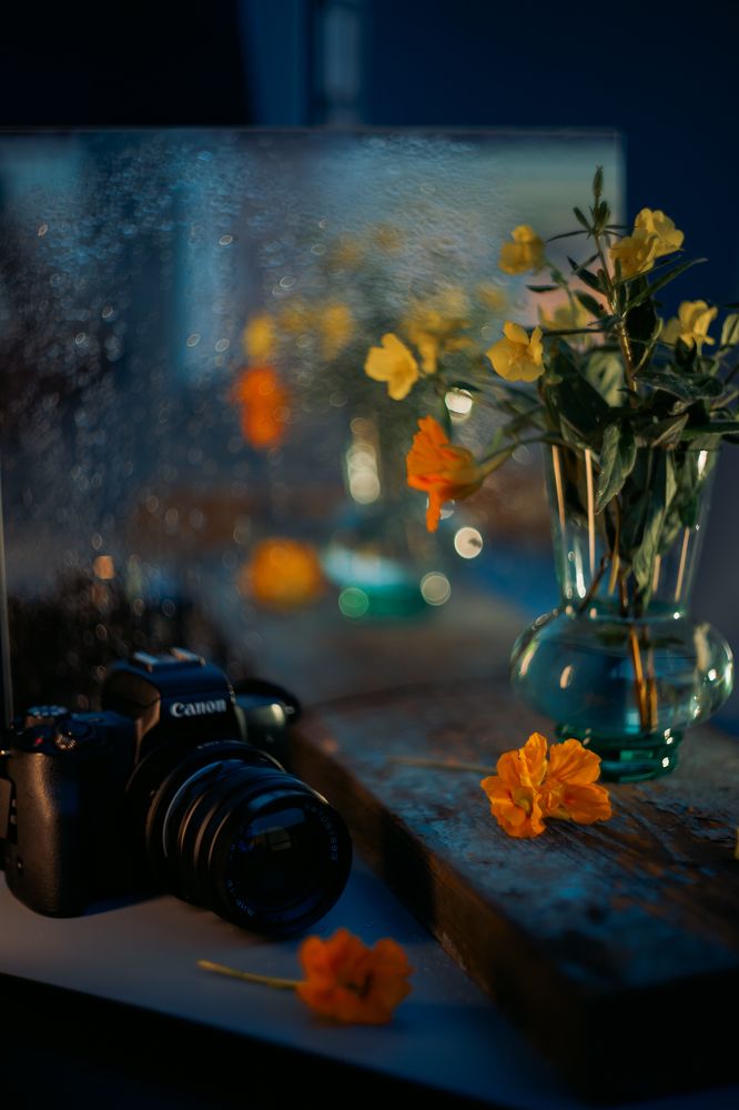 Photograph by Elena Kilina