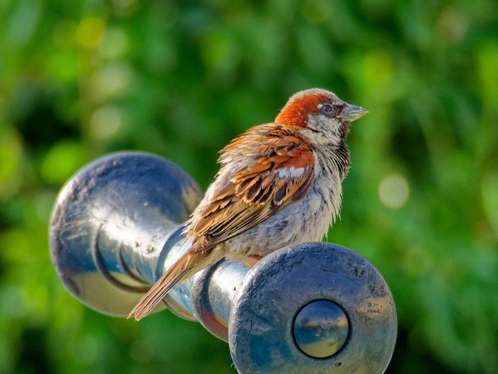 Photograph by Андрей Панин