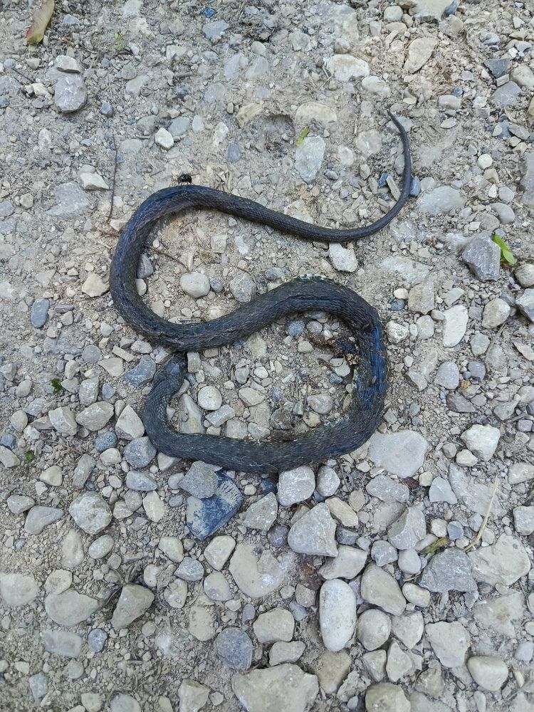 Photograph by Татьяна Пальчикова