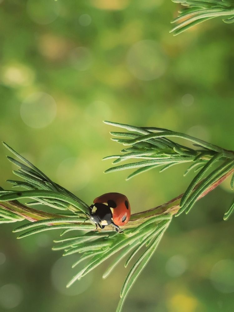 Photograph by Наталия Питолина