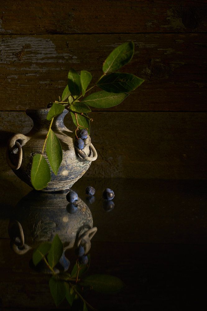 Фотография автора Tulak Pepino