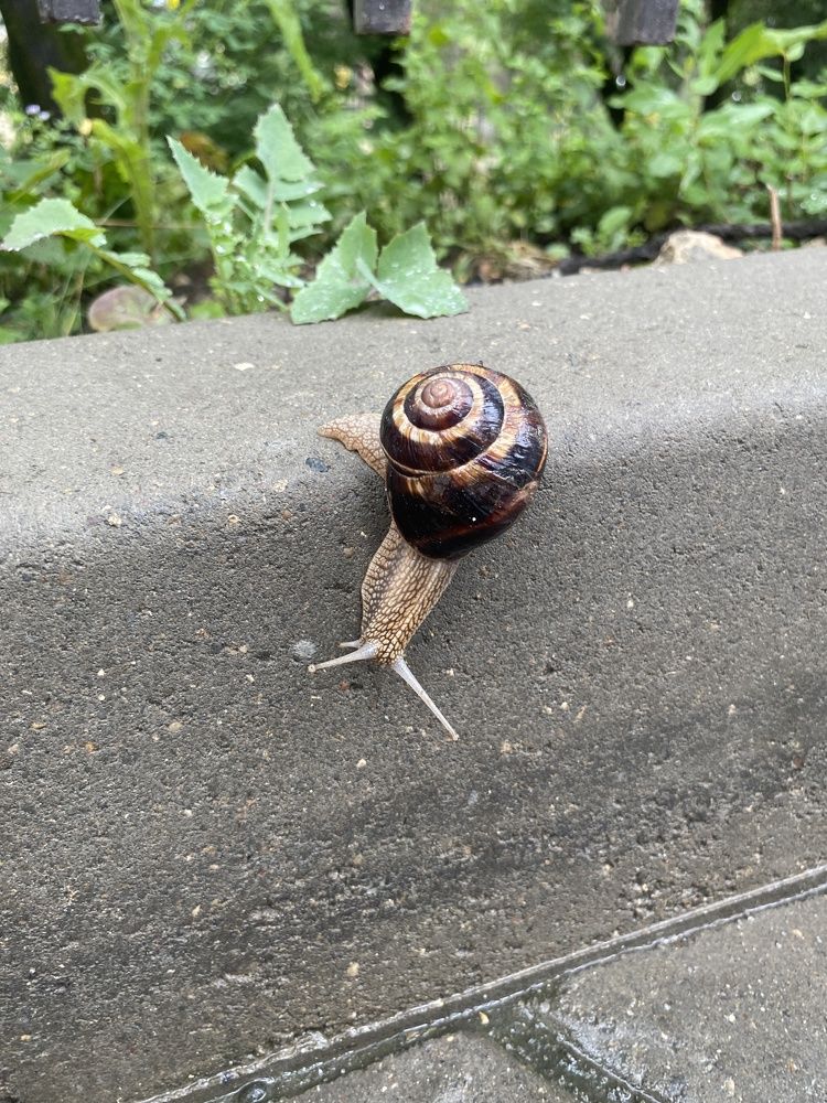 Photograph by Konstantin Kalmykov