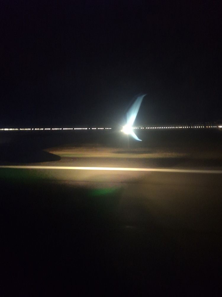 Photograph by Галутина Ольга
