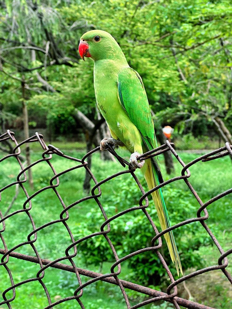 Photograph by Ashish Kalsarpe