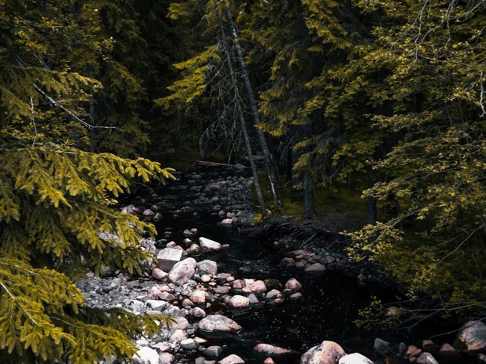 Photo #10827566