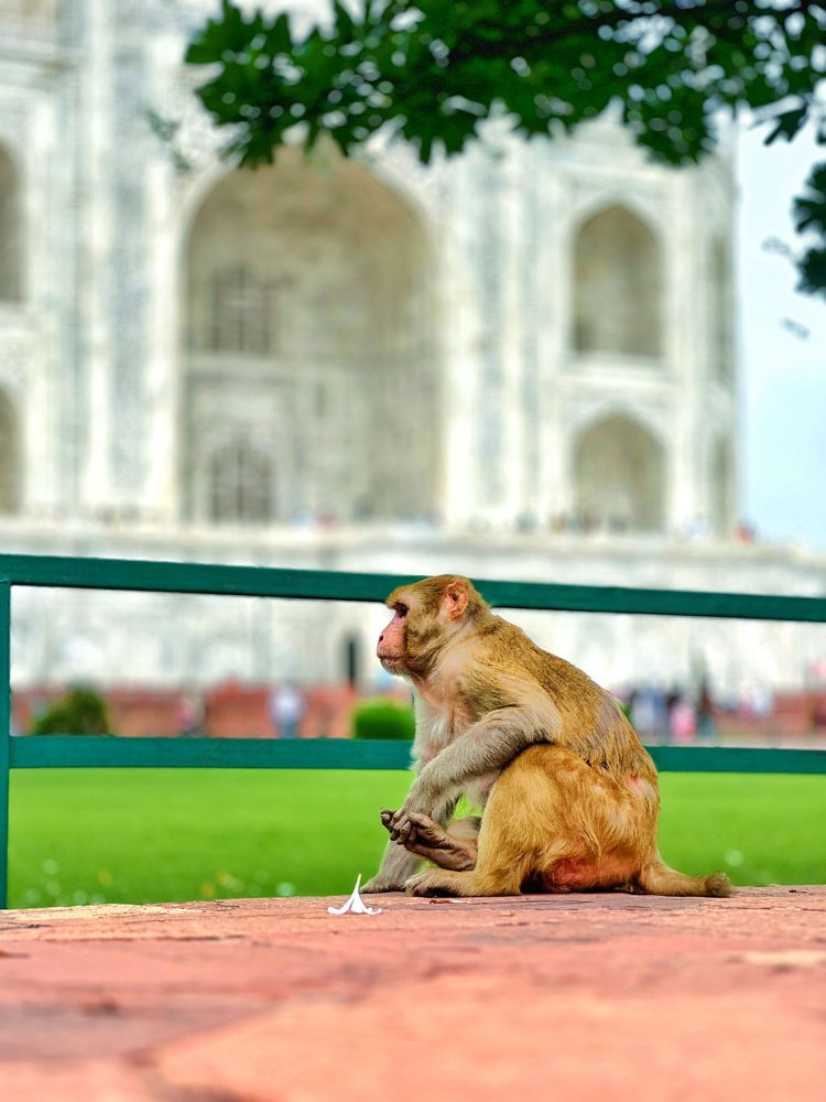 Photograph by Ashish Kalsarpe