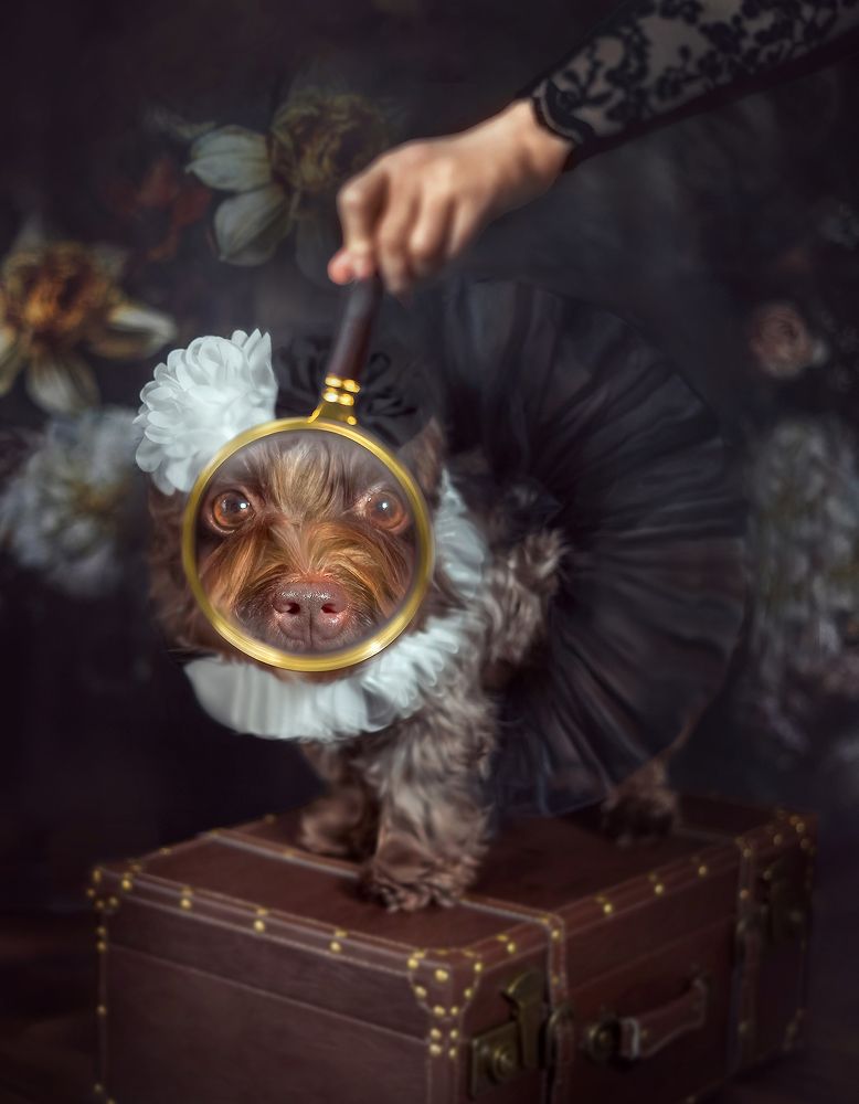 Фотография автора Eugenia Tuzova