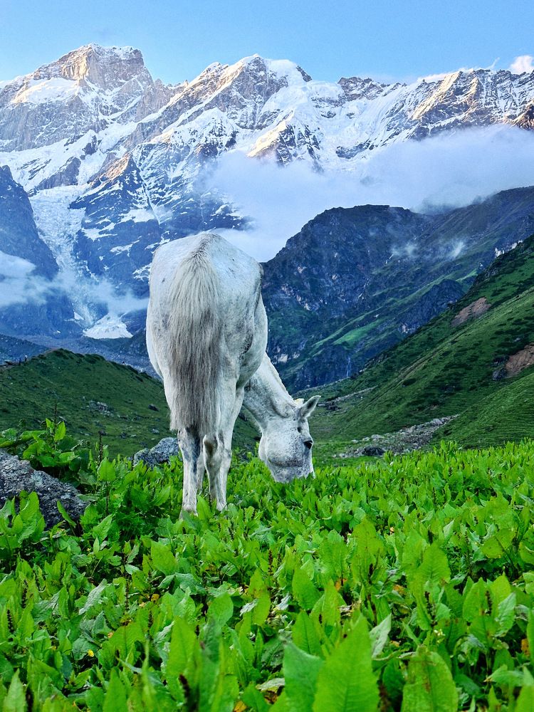 Photograph by Ashish Kalsarpe