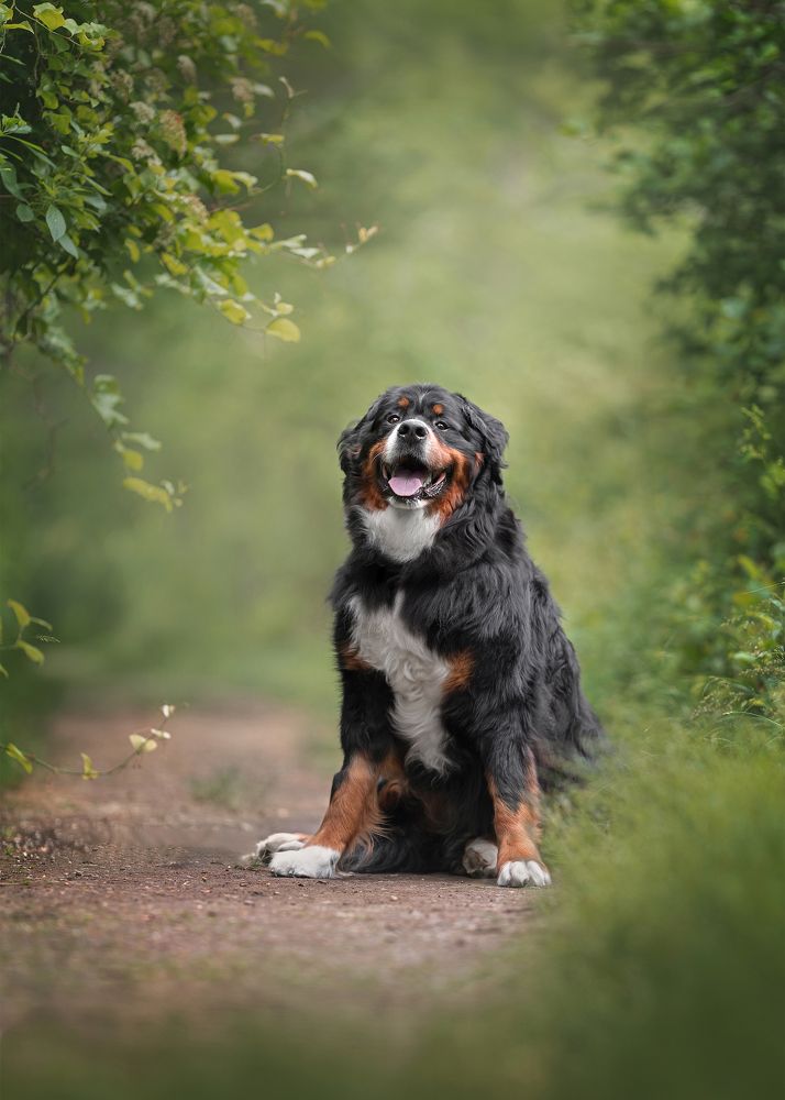 Фотография автора Eugenia Tuzova