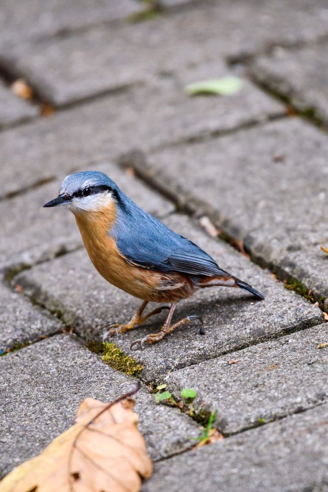 Photograph by levi bagy