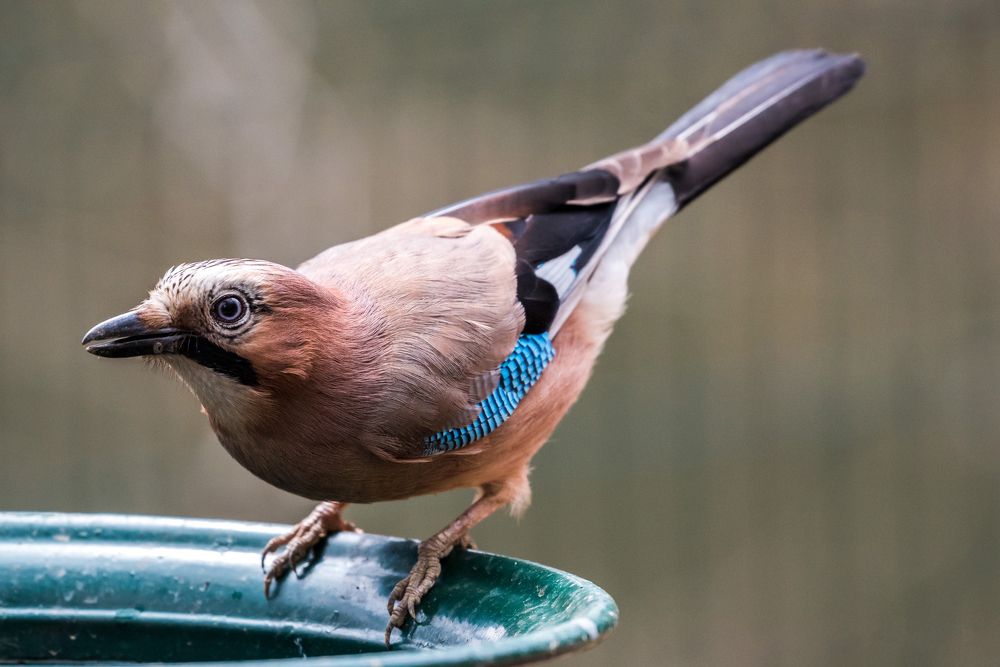 Photograph by levi bagy