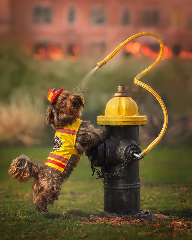 Фотография автора Eugenia Tuzova