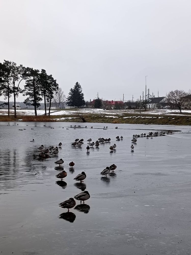 Photograph by Татьяна Яцкевич