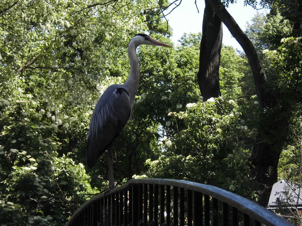 Photograph by Лариса Неудачина