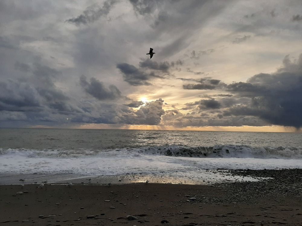 Photograph by Галутина Ольга
