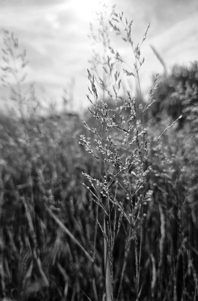 Photograph by Ольга Мандрыкина