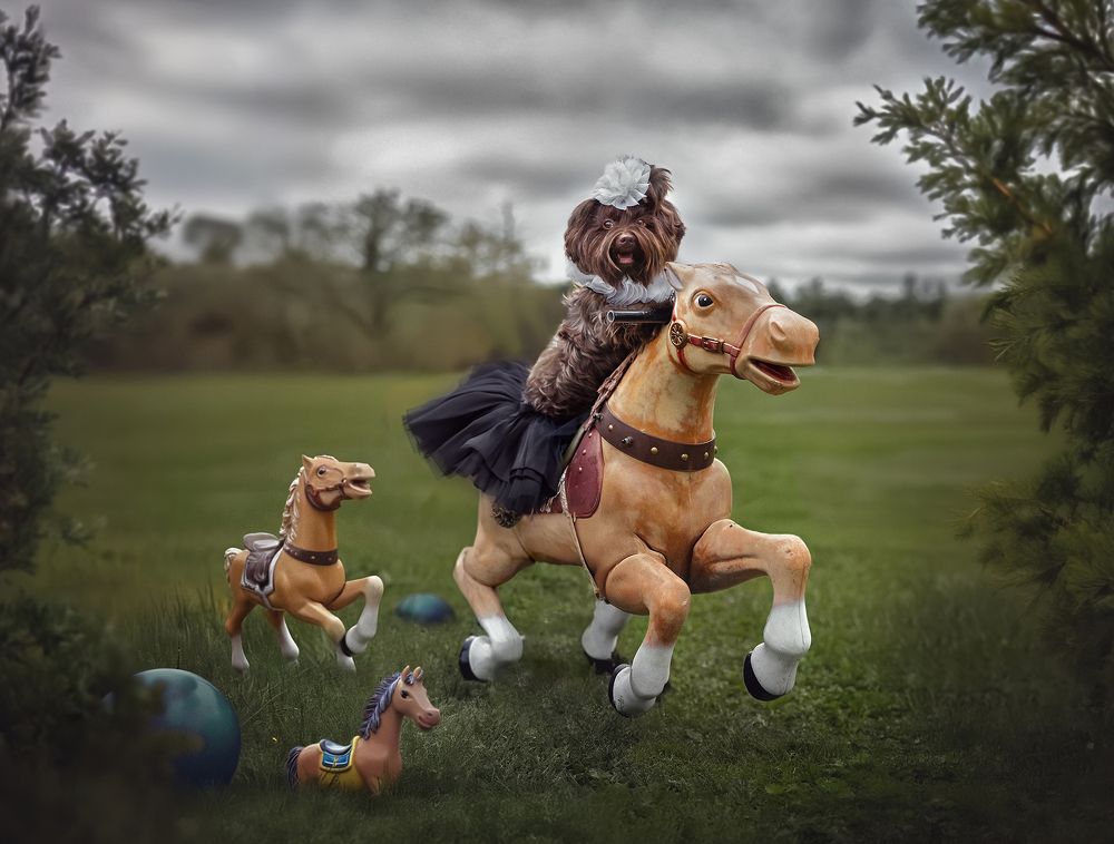 Фотография автора Eugenia Tuzova