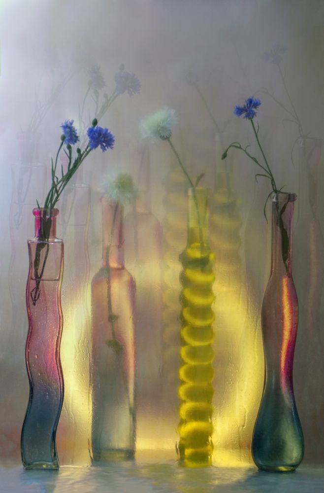 Photograph by Сушкевич Светлана