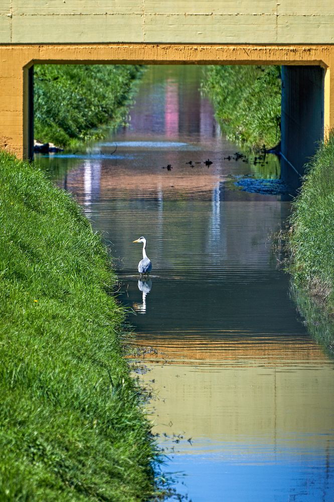 Photograph by Валерий